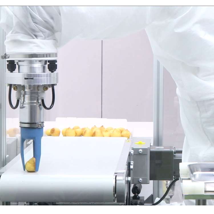 Braço Robótico CNC de 6 Eixos  - Linear Rail avaliação e preço